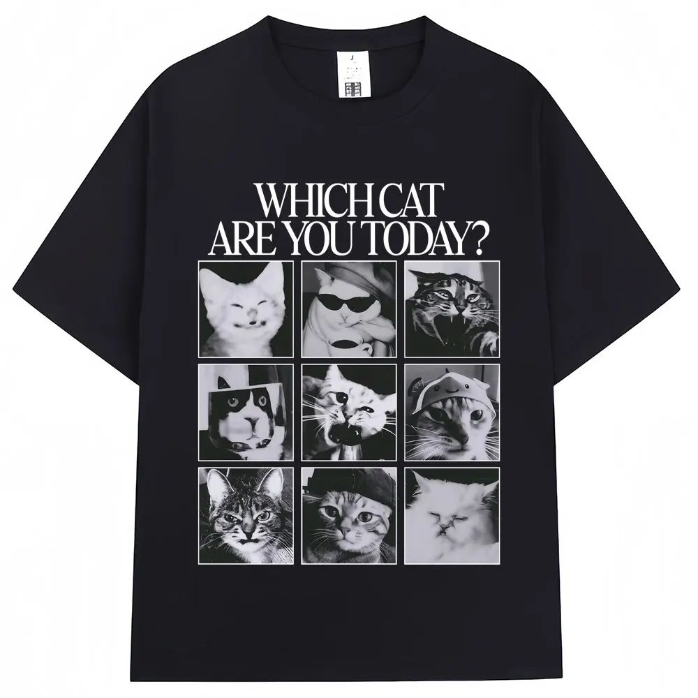 Men'S Fashion Today - Welke kat bent u vandaag? Mannen