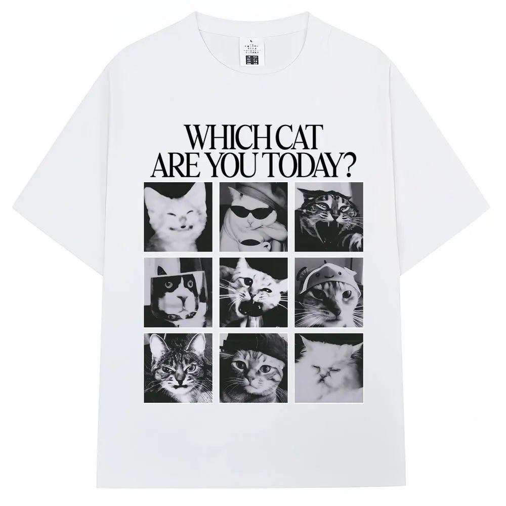 Welke kat bent u vandaag? Mann - Men'S Fashion Today recensie en prijs