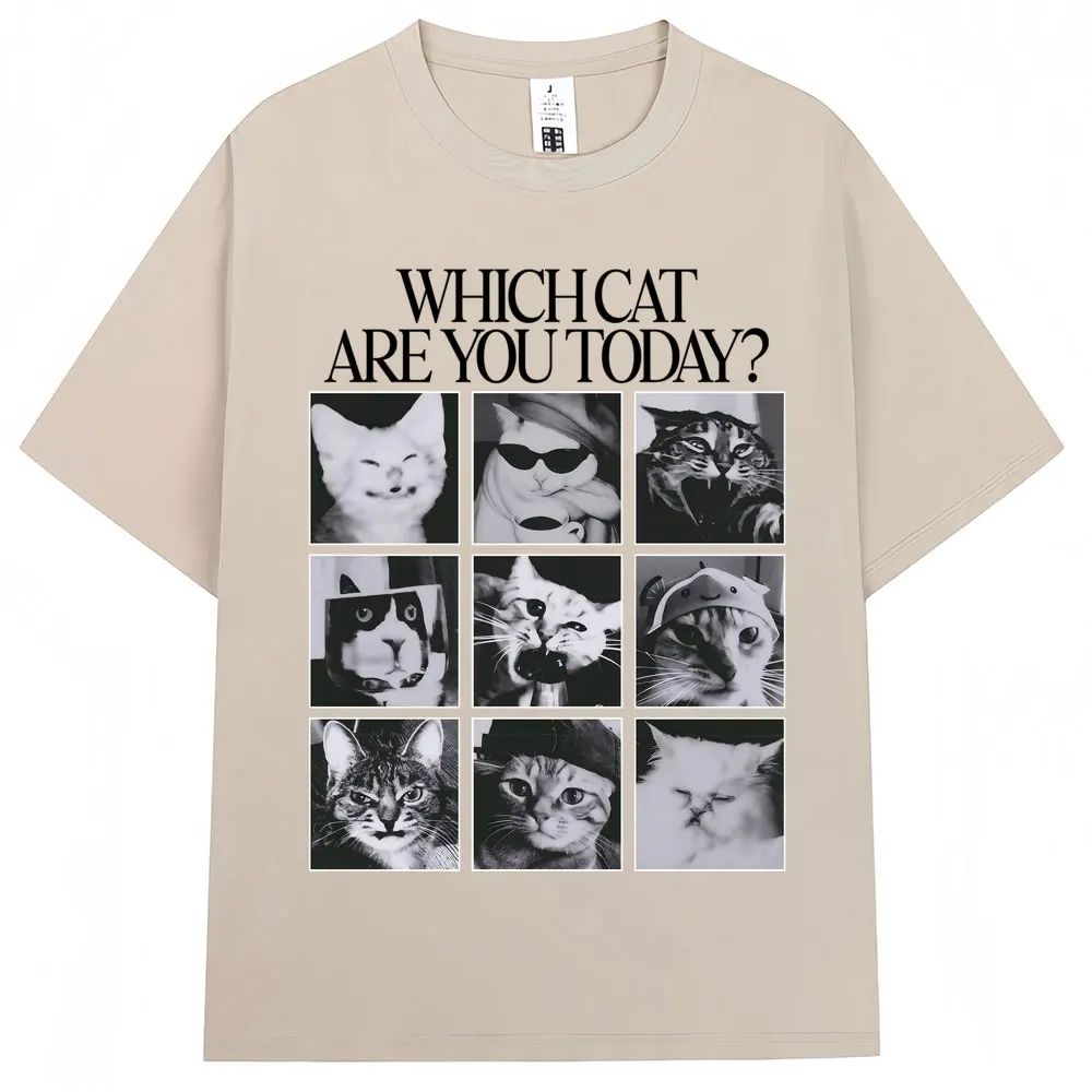Welke kat bent u vandaag? Mann - Men'S Fashion Today recensie en prijs