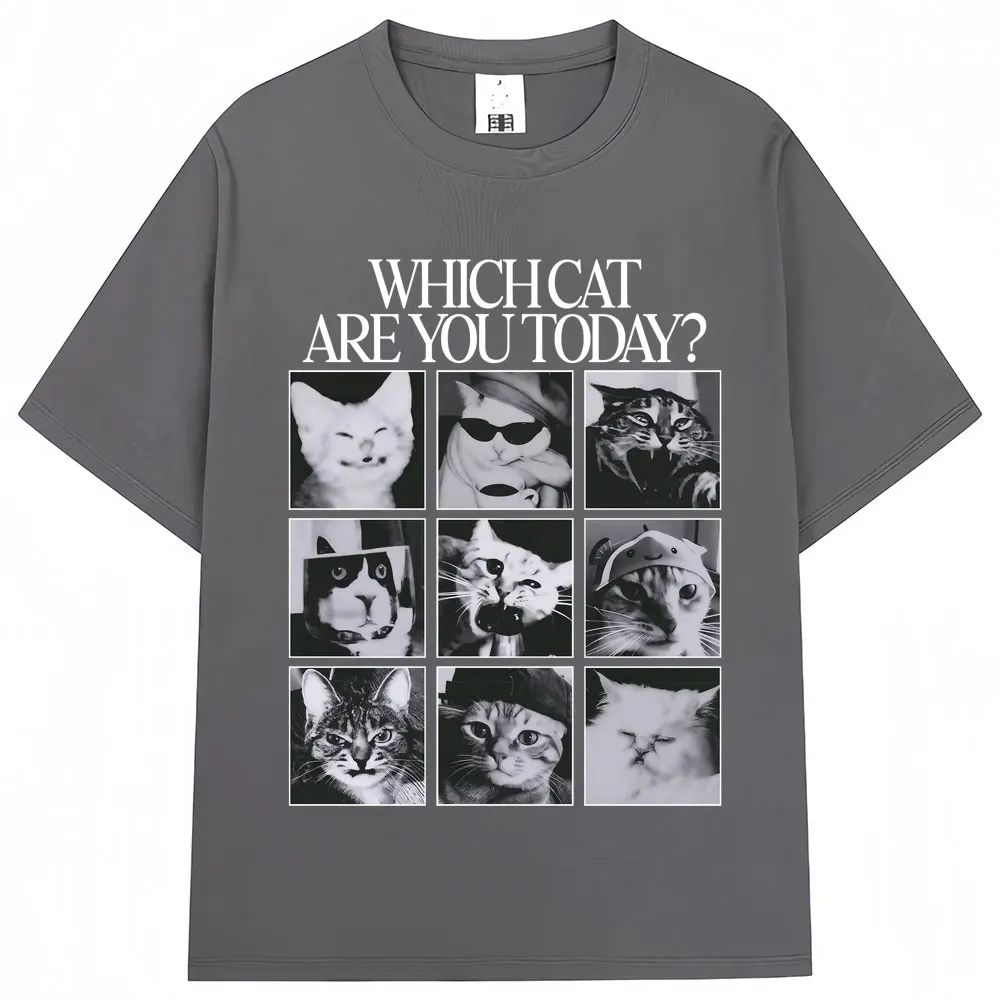 Welke kat bent u vandaag? Mann - Men'S Fashion Today recensie en prijs